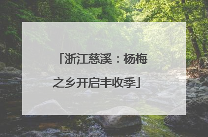 浙江慈溪：杨梅之乡开启丰收季
