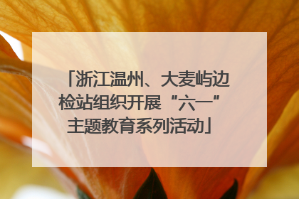 浙江温州、大麦屿边检站组织开展“六一”主题教育系列活动