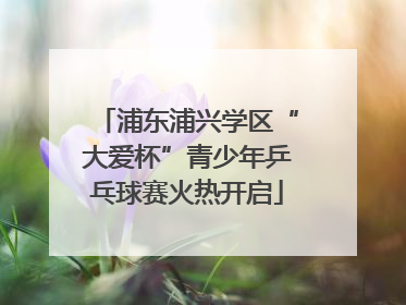 浦东浦兴学区“大爱杯”青少年乒乓球赛火热开启