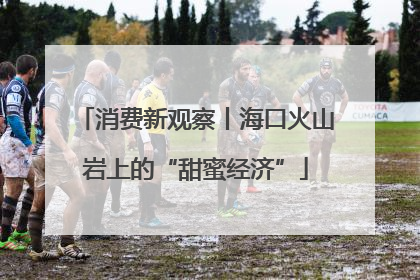 消费新观察丨海口火山岩上的“甜蜜经济”