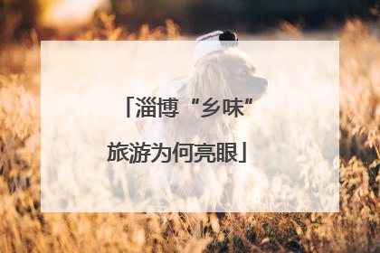 淄博“乡味”旅游为何亮眼