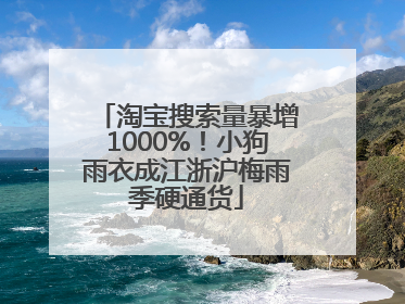 淘宝搜索量暴增1000%！小狗雨衣成江浙沪梅雨季硬通货