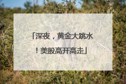 深夜，黄金大跳水！美股高开高走