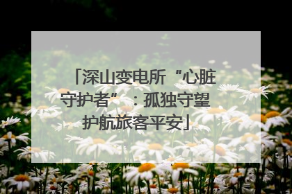 深山变电所“心脏守护者”：孤独守望护航旅客平安