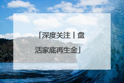 深度关注丨盘活家底再生金