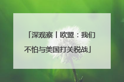 深观察丨欧盟：我们不怕与美国打关税战