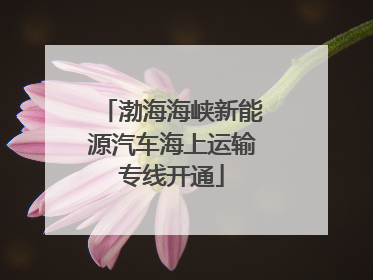 渤海海峡新能源汽车海上运输专线开通