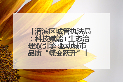 渭滨区城管执法局：科技赋能+生态治理双引擎 驱动城市品质“蝶变跃升”