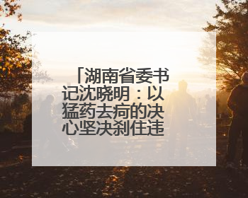 湖南省委书记沈晓明：以猛药去疴的决心坚决刹住违规吃喝歪风