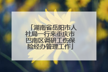 湖南省岳阳市人社局一行来重庆市巴南区调研工伤保险经办管理工作