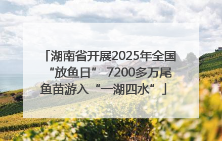 湖南省开展2025年全国“放鱼日” 7200多万尾鱼苗游入“一湖四水”