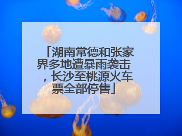 湖南常德和张家界多地遭暴雨袭击，长沙至桃源火车票全部停售