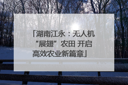 湖南江永：无人机“展翅”农田 开启高效农业新篇章