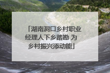 湖南洞口乡村职业经理人下乡踏勘 为乡村振兴添动能