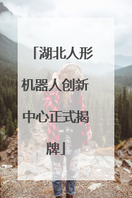 湖北人形机器人创新中心正式揭牌