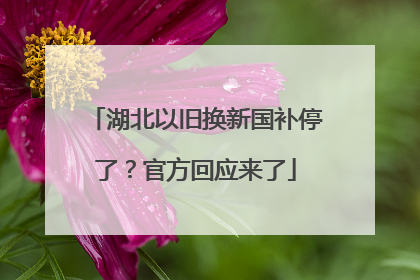 湖北以旧换新国补停了？官方回应来了