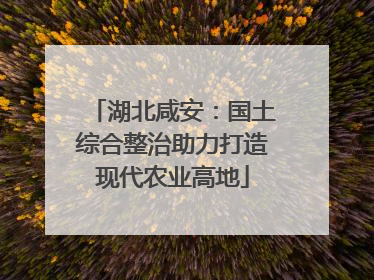 湖北咸安：国土综合整治助力打造现代农业高地