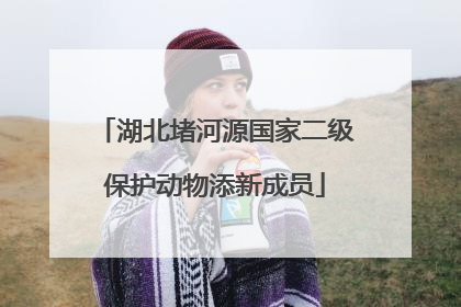 湖北堵河源国家二级保护动物添新成员