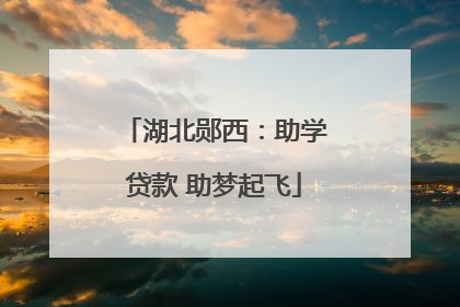 湖北郧西：助学贷款 助梦起飞