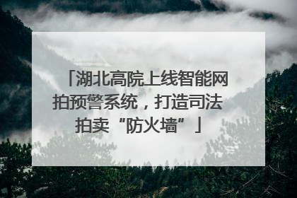 湖北高院上线智能网拍预警系统，打造司法拍卖“防火墙”
