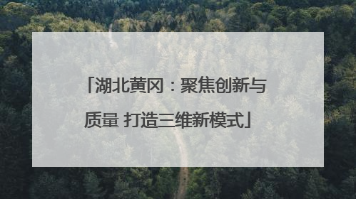 湖北黄冈：聚焦创新与质量 打造三维新模式