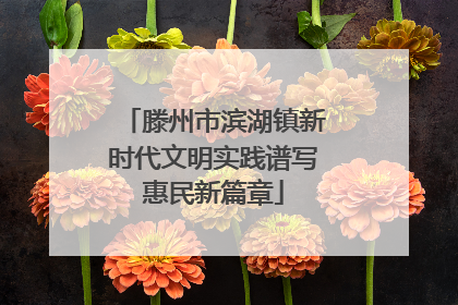 滕州市滨湖镇新时代文明实践谱写惠民新篇章