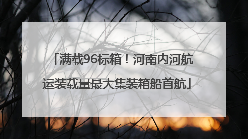 满载96标箱！河南内河航运装载量最大集装箱船首航