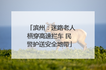 滨州：迷路老人横穿高速拦车 民警护送安全地带