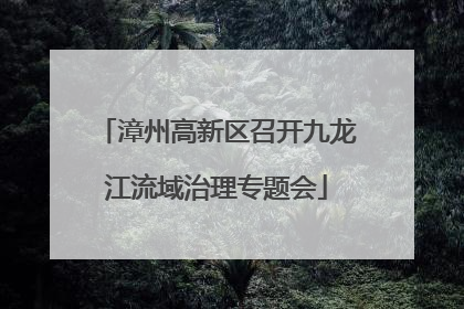 漳州高新区召开九龙江流域治理专题会