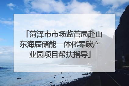 菏泽市市场监管局赴山东海辰储能一体化零碳产业园项目帮扶指导