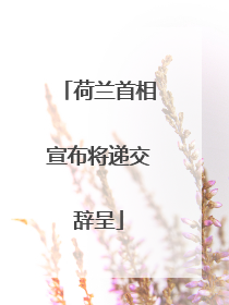 荷兰首相宣布将递交辞呈