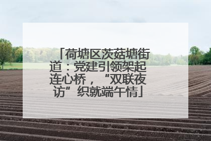 荷塘区茨菇塘街道：党建引领架起连心桥，“双联夜访”织就端午情