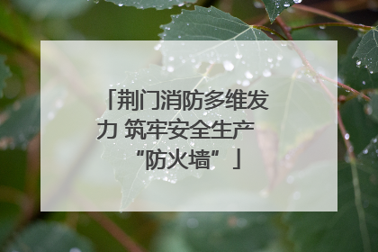 荆门消防多维发力 筑牢安全生产“防火墙”