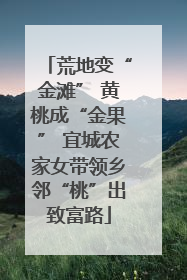 荒地变“金滩” 黄桃成“金果” 宜城农家女带领乡邻“桃”出致富路