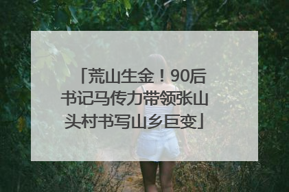荒山生金！90后书记马传力带领张山头村书写山乡巨变