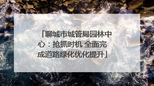 聊城市城管局园林中心：抢抓时机 全面完成道路绿化优化提升
