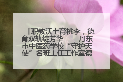 职教沃土育桃李，德育双轨绽芳华——丹东市中医药学校“守护天使”名班主任工作室德育实践之路