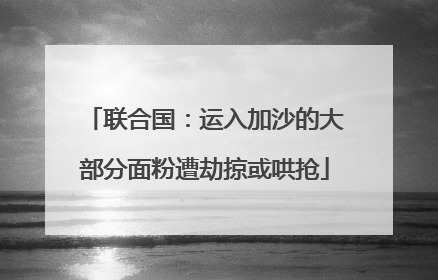 联合国：运入加沙的大部分面粉遭劫掠或哄抢