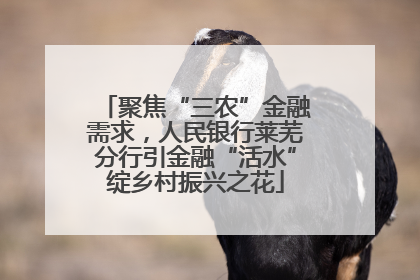聚焦“三农”金融需求，人民银行莱芜分行引金融“活水”绽乡村振兴之花