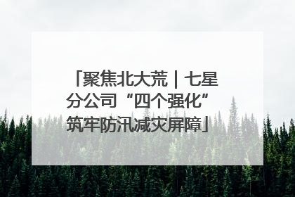 聚焦北大荒｜七星分公司“四个强化”筑牢防汛减灾屏障