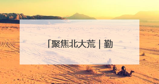 聚焦北大荒｜勤得利农场开展“廉政教育+科技赋能”主题党日活动