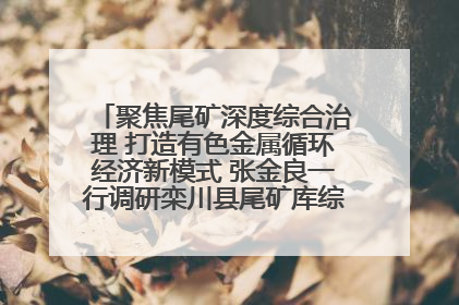聚焦尾矿深度综合治理 打造有色金属循环经济新模式 张金良一行调研栾川县尾矿库综合治理工作