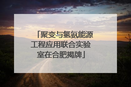 聚变与氢氨能源工程应用联合实验室在合肥揭牌