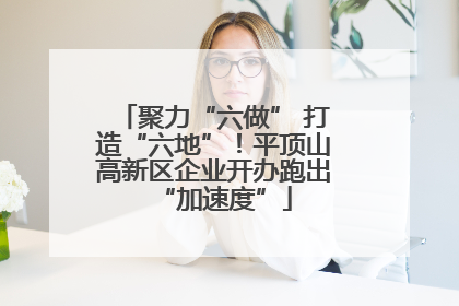 聚力“六做” 打造“六地”！平顶山高新区企业开办跑出“加速度”