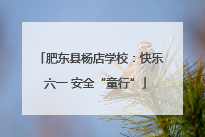 肥东县杨店学校：快乐六一 安全“童行”