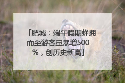 肥城：端午假期蜂拥而至游客量暴增500%，创历史新高