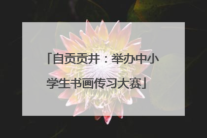 自贡贡井：举办中小学生书画传习大赛