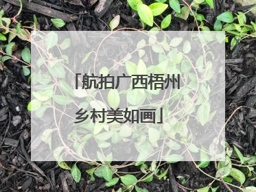 航拍广西梧州乡村美如画