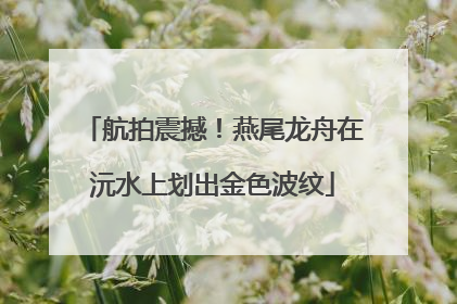 航拍震撼！燕尾龙舟在沅水上划出金色波纹