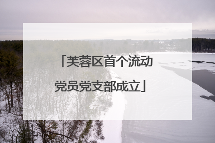 芙蓉区首个流动党员党支部成立